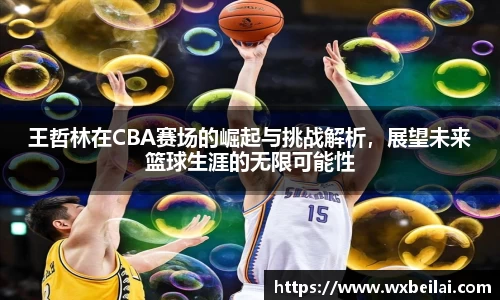 王哲林在CBA赛场的崛起与挑战解析，展望未来篮球生涯的无限可能性