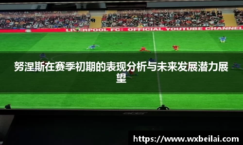 努涅斯在赛季初期的表现分析与未来发展潜力展望