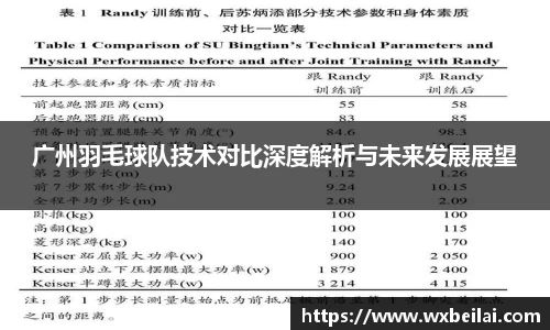 广州羽毛球队技术对比深度解析与未来发展展望