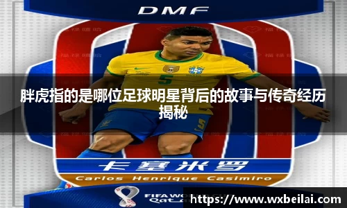 胖虎指的是哪位足球明星背后的故事与传奇经历揭秘