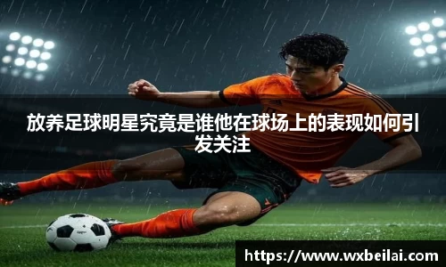 放养足球明星究竟是谁他在球场上的表现如何引发关注